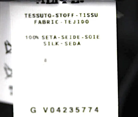 Alberta Ferretti Italie. 