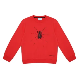 Pull Rouge pour Garçons