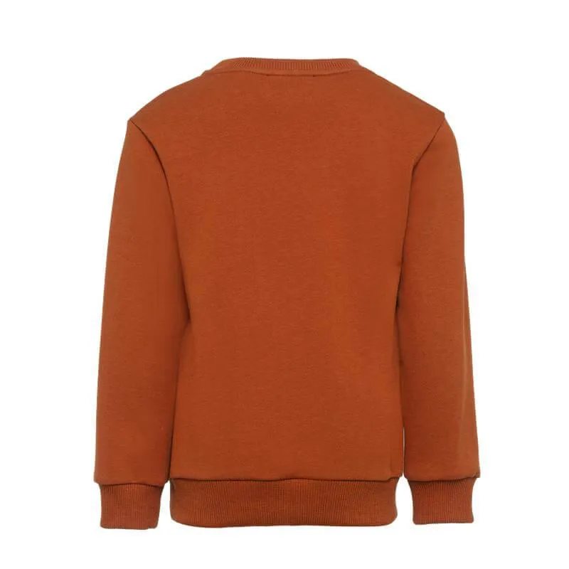 Pull en laine rouillé pour garçons