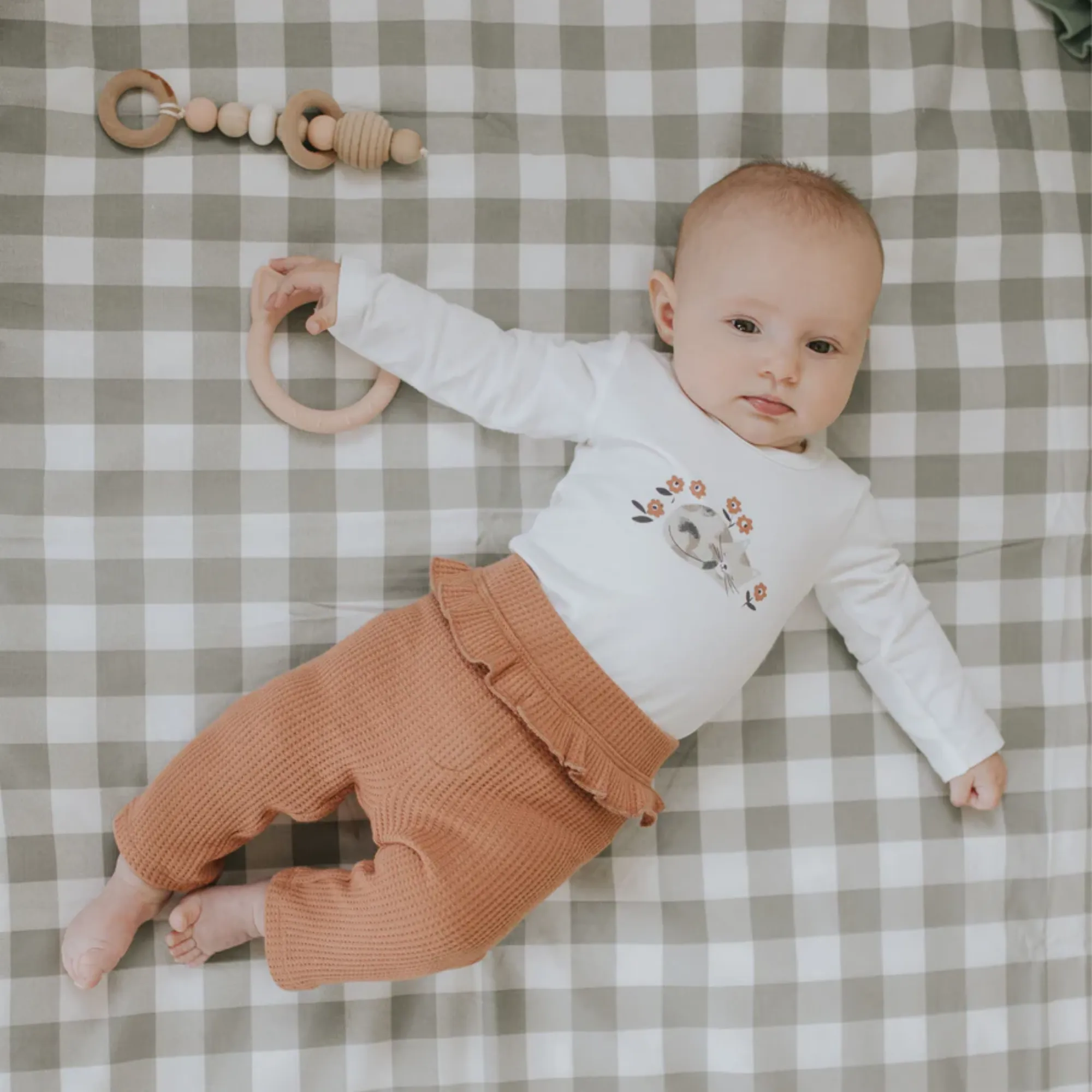 FIRSTS Kit pour Chaton - Ensemble de 3 Pièces