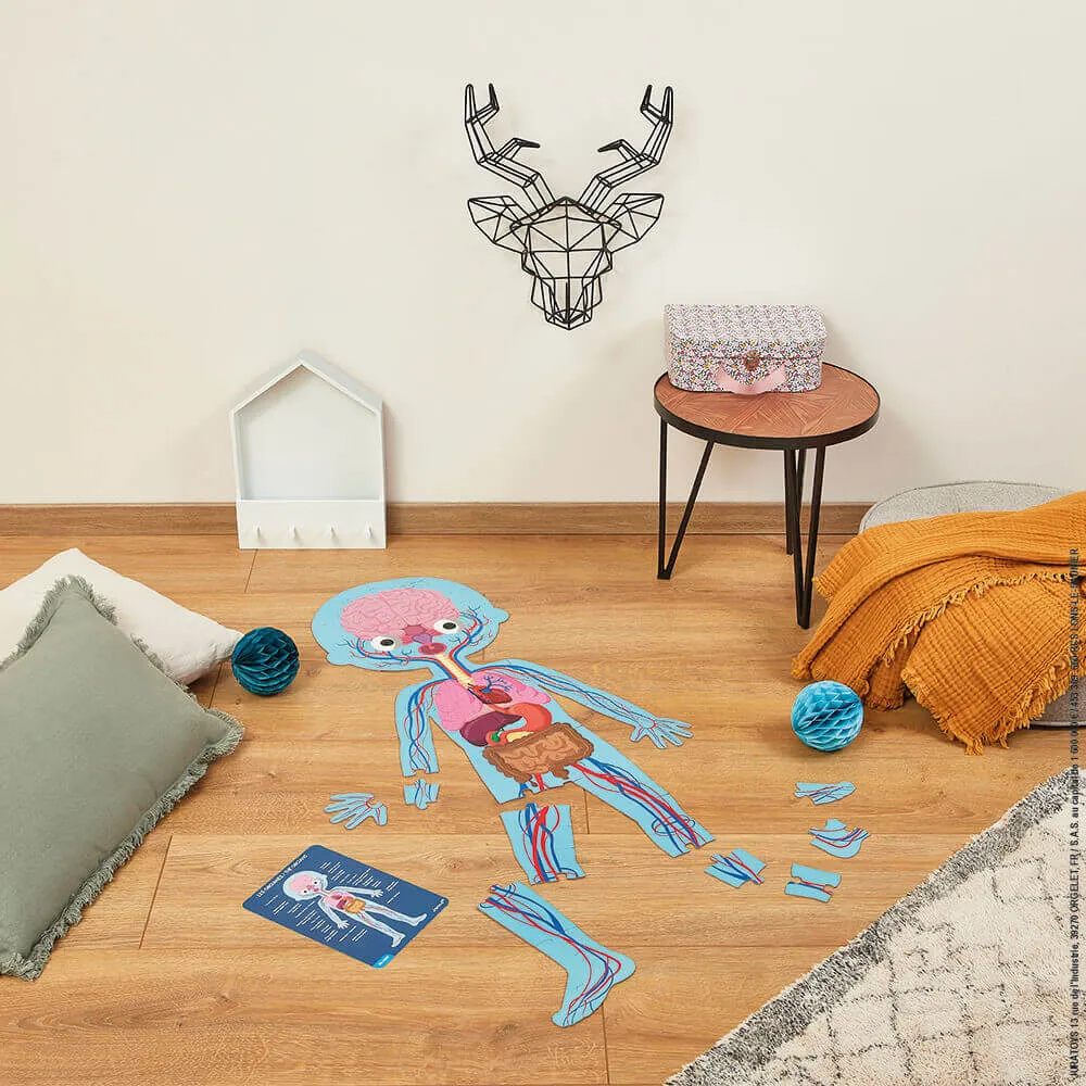Janod - Ensemble de 4 puzzles géants pour découvrir le corps humain