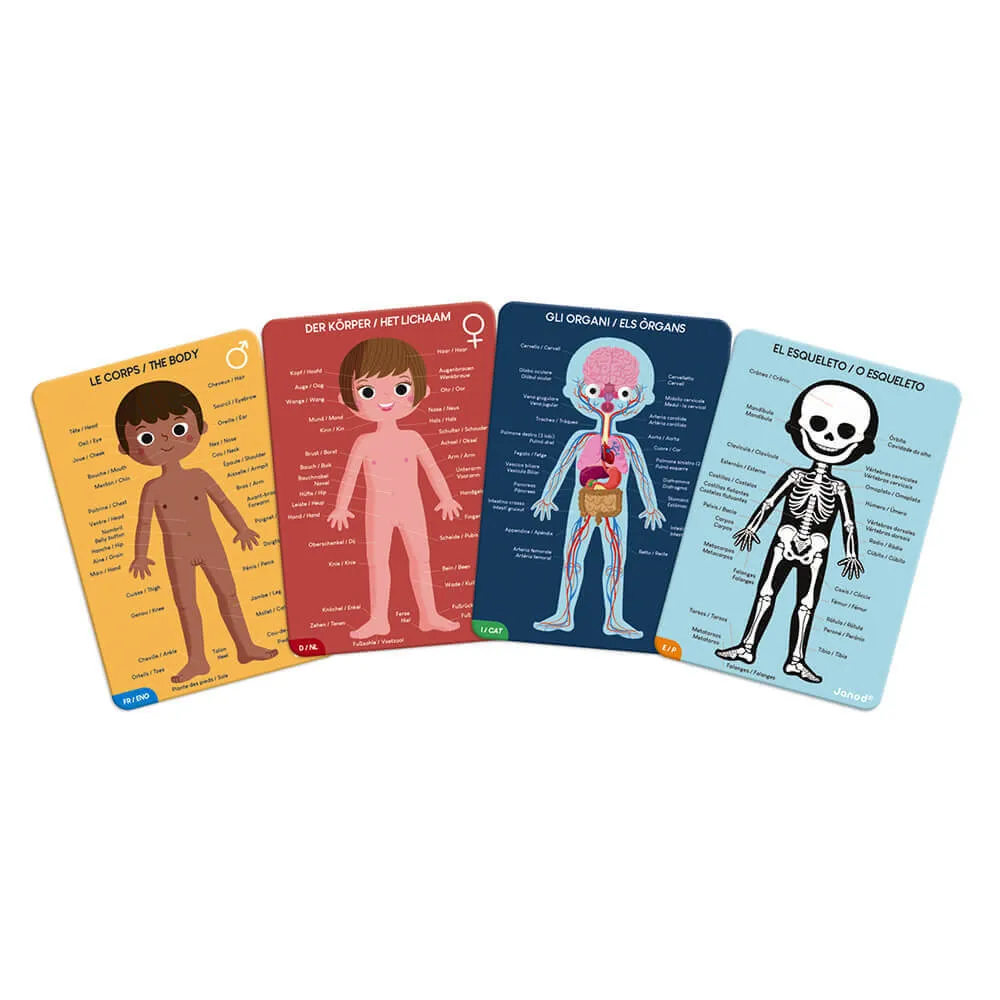 Janod - Ensemble de 4 puzzles géants pour découvrir le corps humain