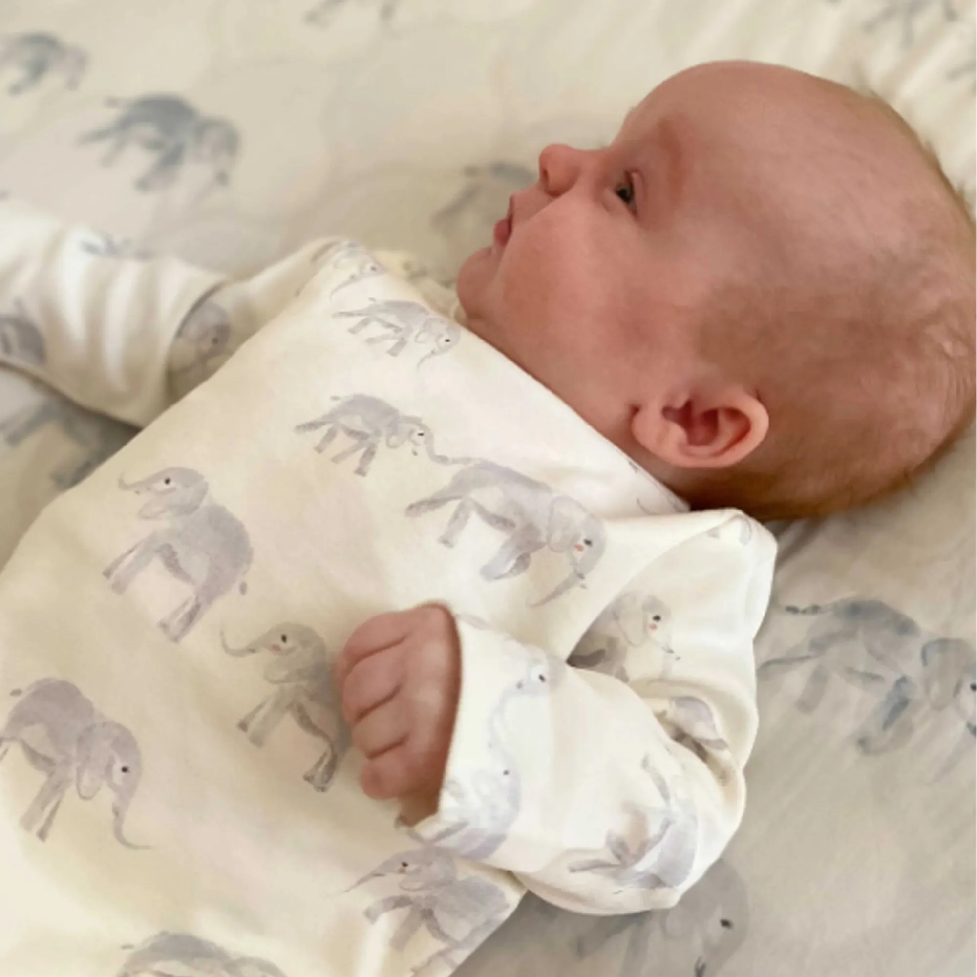 PEHR Combinaison à pression en coton biologique - Éléphant Follow Me