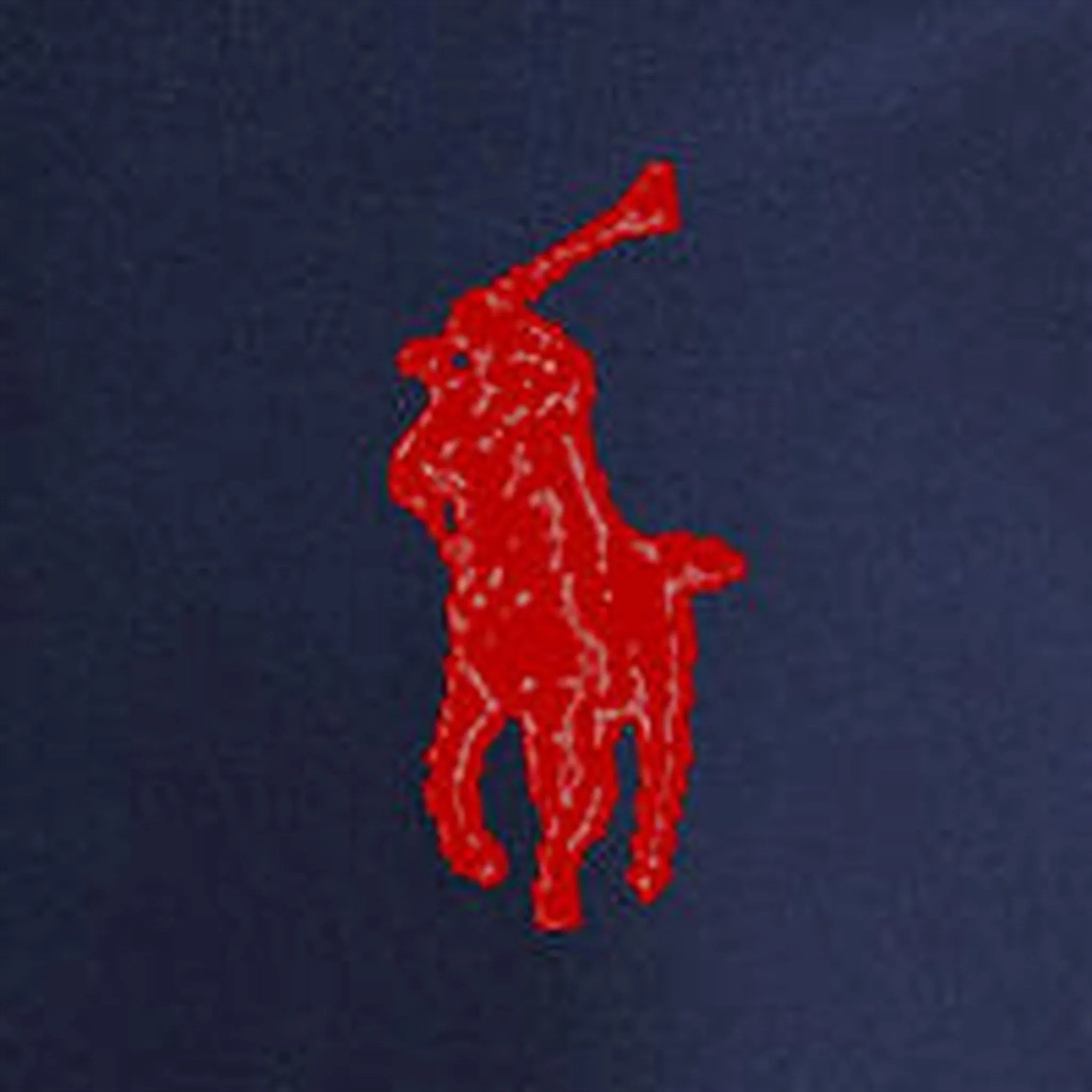 Pantalon pour garçons Polo Ralph Lauren Newport Navy