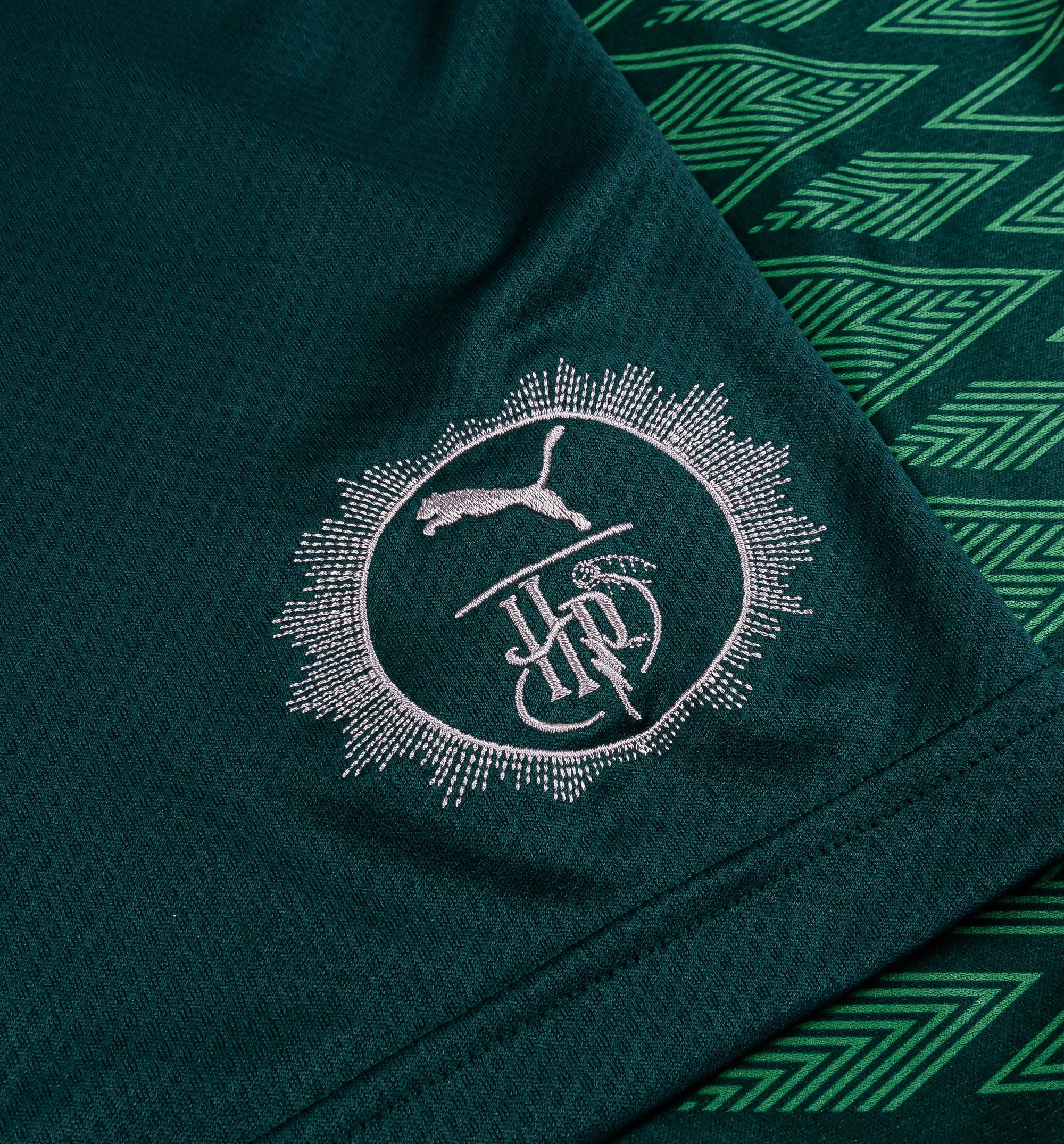Puma Vêtements Harry Potter Serpentard Maillot décontracté pour hommes - Vert foncé