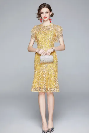 Robe d'été à manches courtes et élégante en dentelle ajustée