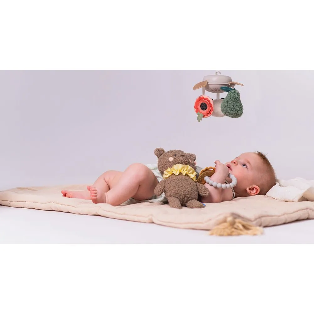 Taf Toys Coffret Cadeau Luxe pour Nouveau-né