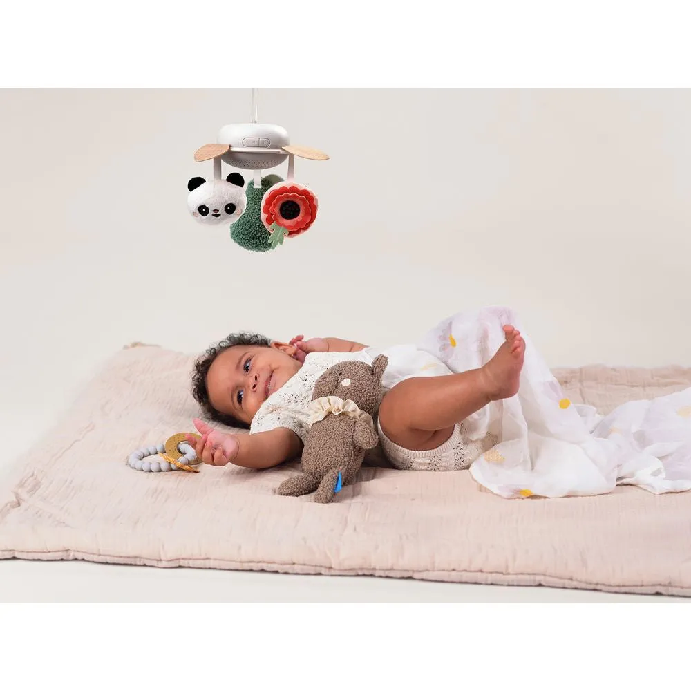 Taf Toys Coffret Cadeau Luxe pour Nouveau-né